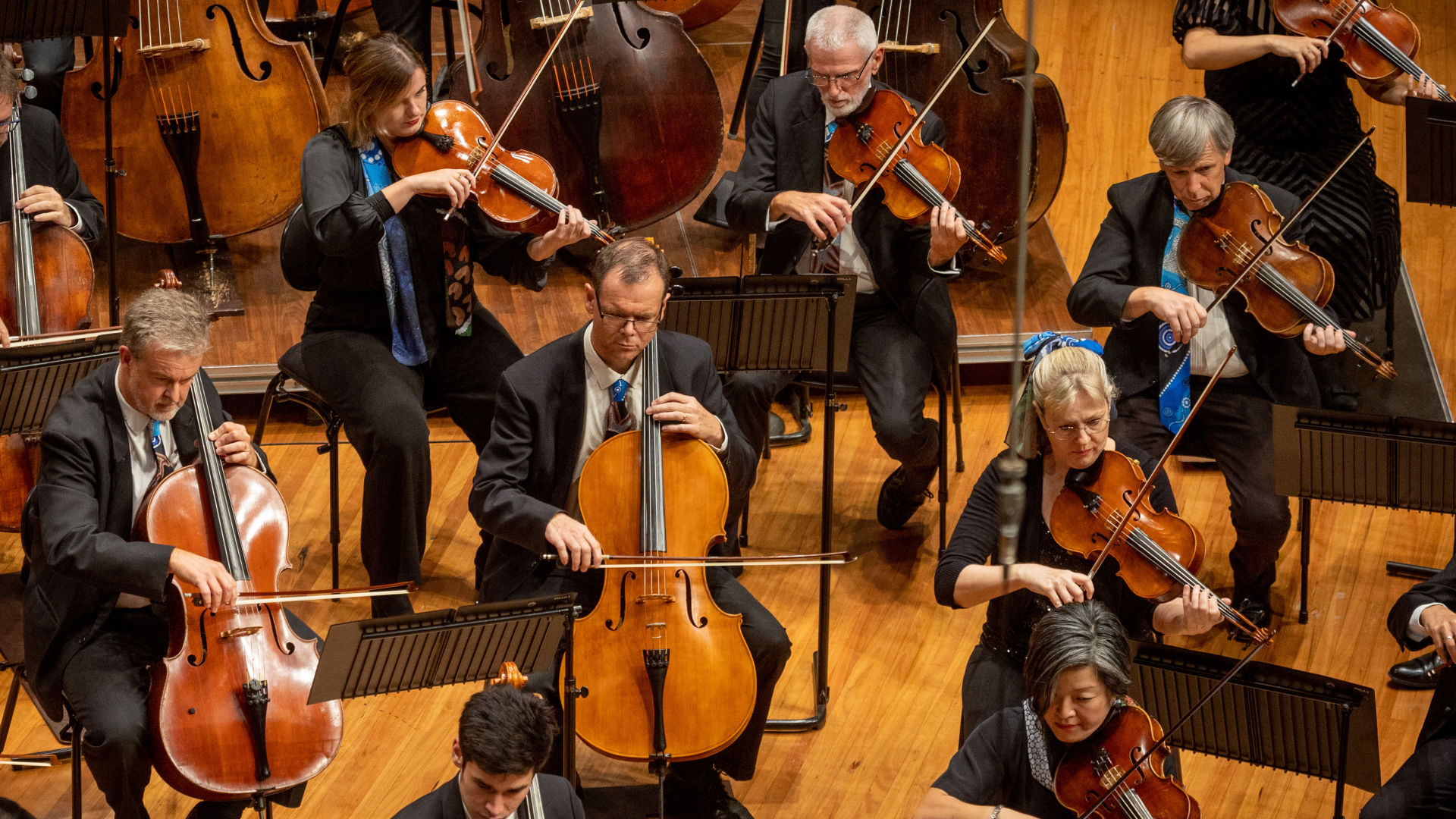 Orchestra Lists Queensland Symphony Orchestra