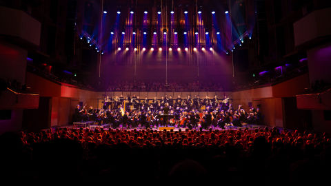 Curtain Call: The Music of John Williams