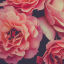 Love and Passion